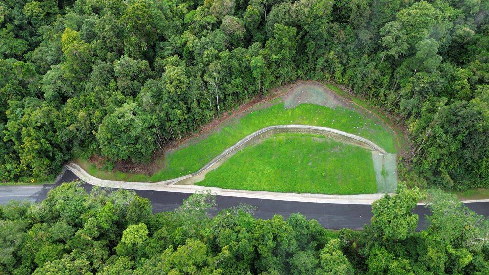 Revegetated Landslip site 1, Palmerston Hwy